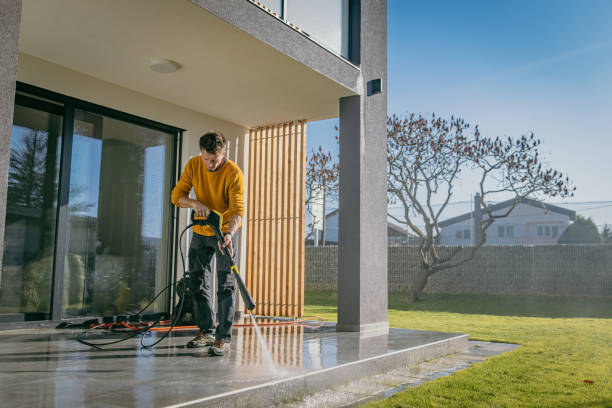 Best Driveway Pressure Washing  in Palos Park, IL
